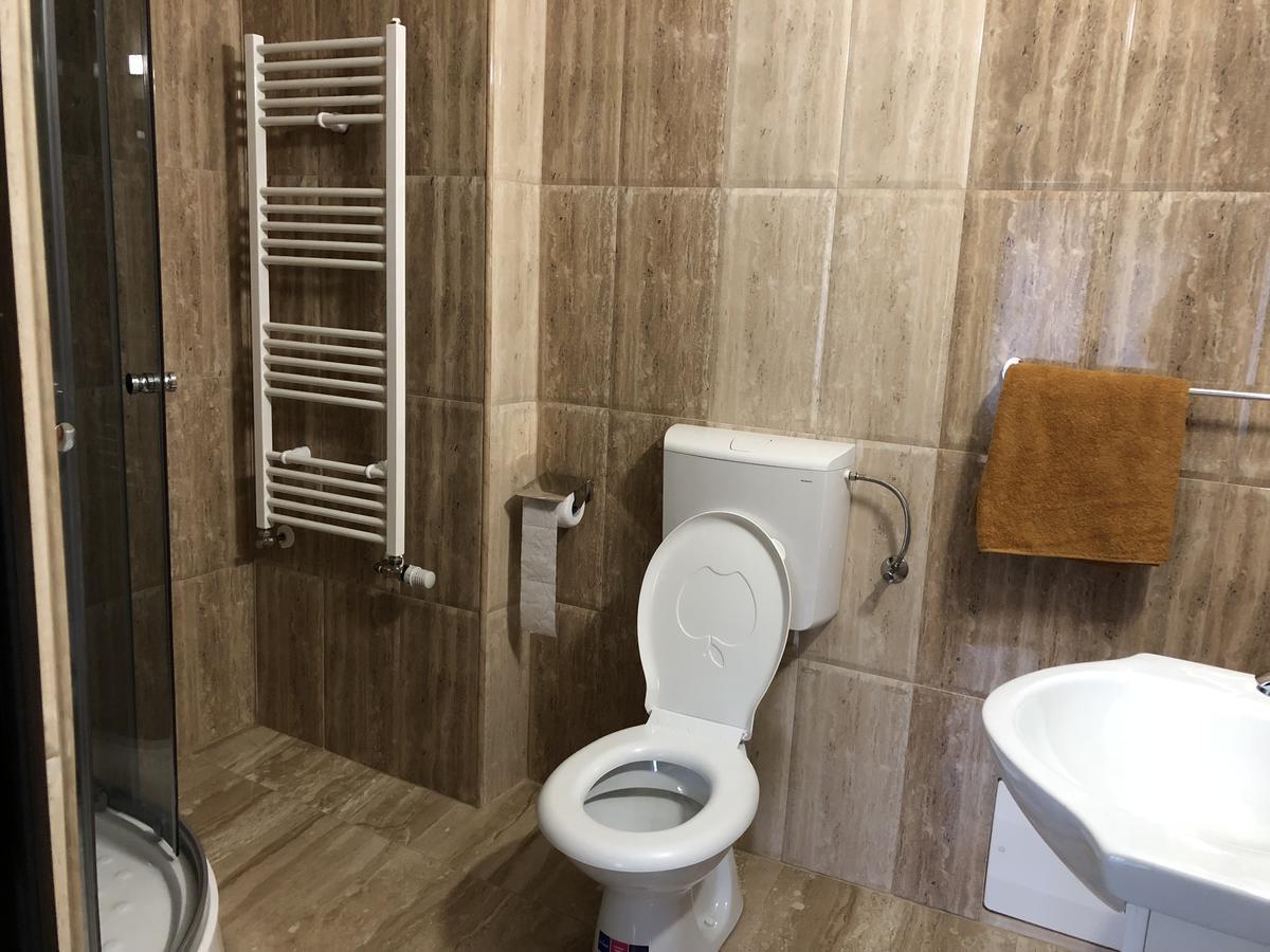 Pensiunea Mirela Pestera Ursilor Chiscau Exterior foto